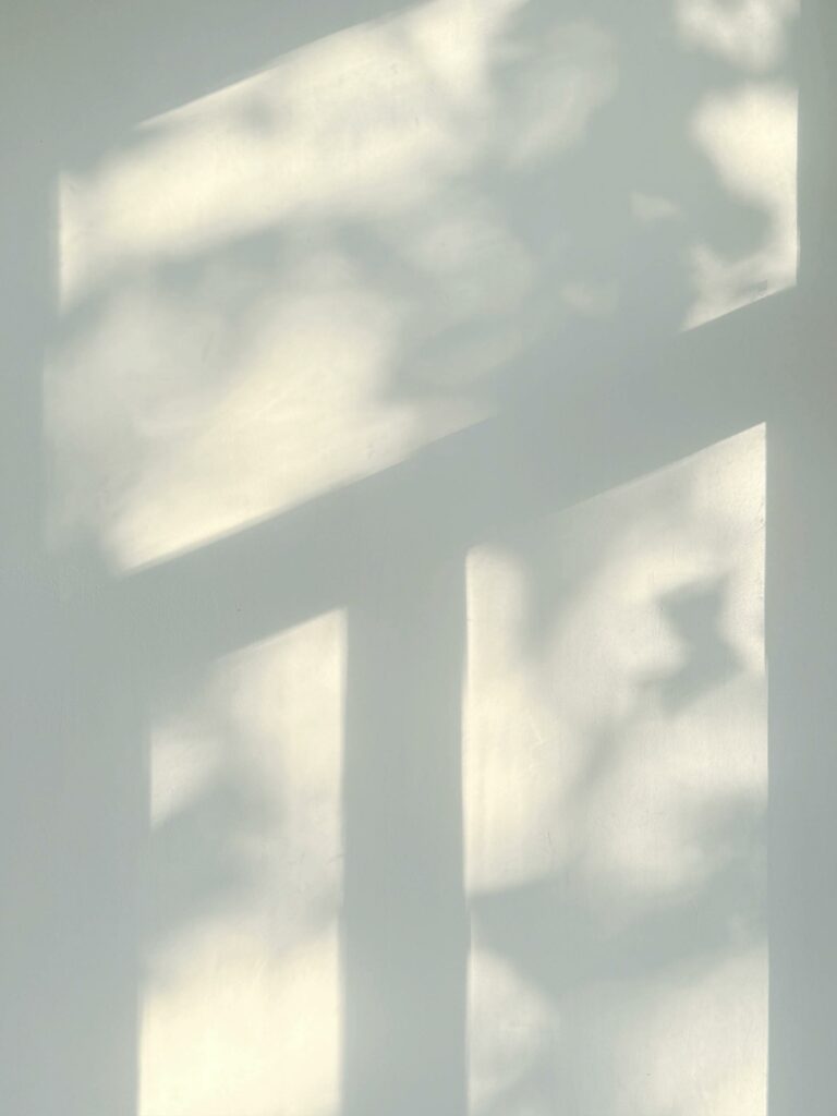 alexandra cochini psychologue ombre fenetre